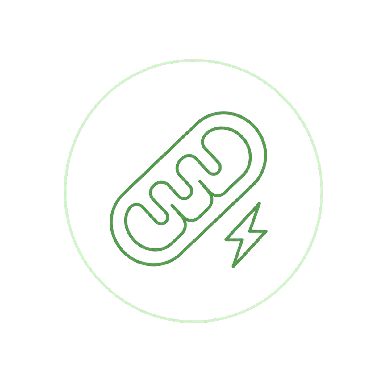 Line-Icon für CoQ10